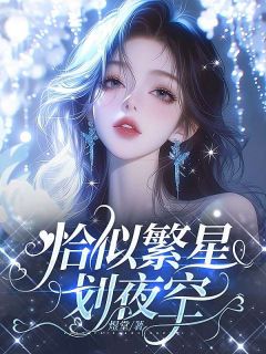 沈沐野贺繁星(恰似繁星划夜空)全文完结免费试读精彩章节