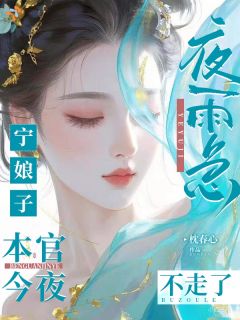 宁娘子，夜雨急，本官今夜不走了完整小说目录在线阅读 (宁霜上官存) 大结局无弹窗