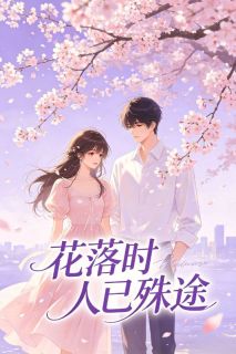 《孟怀川婉清》花落时人已殊途章节免费试读