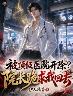 《顾长风赵立仁》小说完结版免费阅读 被顶级医院开除？院长跪求我回去小说阅读