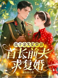 《带崽重逢，爹地追妻超卖力》陆晚宁秦峥章节目录在线试读