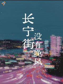 《沈墨宁陆砚舟》长宁街没有晚风章节目录在线阅读 第2章