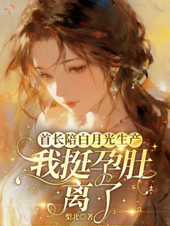 《首长陪白月光生产，我揣孕肚离了》小说精彩试读 《首长陪白月光生产，我揣孕肚离了》最新章节列表