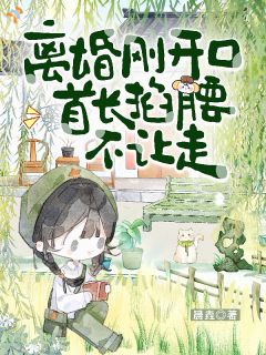 《乔念霍岐安》真相大白那刻，他跪着求我别走章节目录免费试读