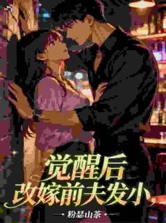 觉醒后，打工妹闪婚前夫发小完整版小说在线阅读地址 主角黎薇王志斌