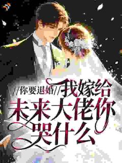 《温清燃秦政渊》小说主角你要退婚，我嫁给未来大佬你哭什么？全文章节免费免费试读