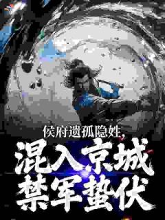 热文《侯府遗孤隐姓，混入京城禁军蛰伏》陆川柳清漓全文无弹窗阅读