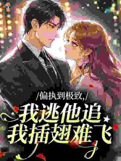 《向晚芙傅寒栖》全文及大结局精彩试读 偏执到极致，我逃他追我插翅难飞小说