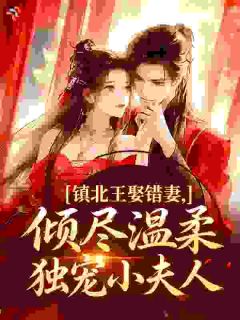 《沈清婉萧凛》镇北王娶错妻，倾尽温柔独宠小夫人章节列表精彩阅读