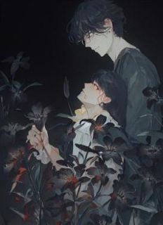 我死后，总裁丈夫他疯了