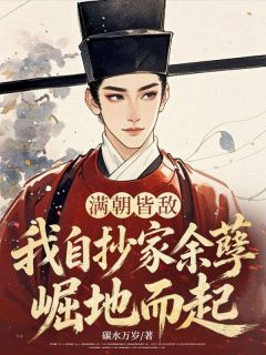 《沈墨孟意》满朝皆敌，我自抄家余孽崛地而起全文在线阅读