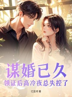 《谋婚已久，领证后高冷夜总失控了》小说章节目录在线阅读 沈清澜夜烬小说全文