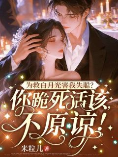 从此，京城再无我的聂太太 夏初禾周廷琛完结版在线阅读