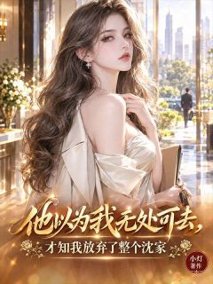《沈青辞陆琛》小说章节目录在线试读 第9章