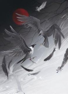 雪山不留无情人沈夭林修小说阅读 雪山不留无情人文本在线阅读