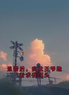 主角是萧衍沈清漪沈鸢的小说 退婚后，疯批王爷跪着求我回头精选章节
