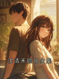 《沈清》沈清禾顾北全集全本在线阅读