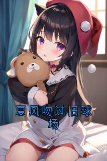 《夏风吻过旧球场》小说章节在线试读 顾南舟沈闻野小说全文