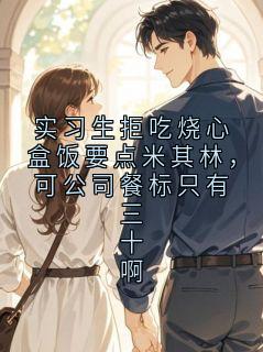 《实习生拒吃烧心盒饭要点米其林，可公司餐标只有三十啊》小说阅读 徐凯苏念小说