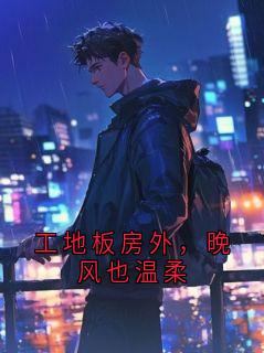 《工地板房外，晚风也温柔》精彩章节列表在线试读 钢筋王强老陈小说