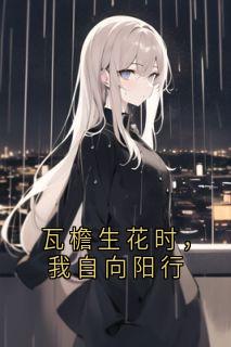 《苏晚》瓦檐生花时，我自向阳行章节目录精彩阅读