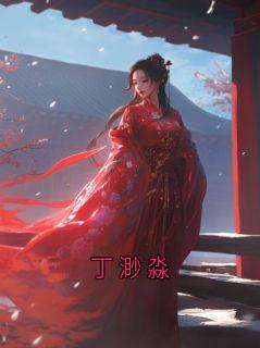 《丁渺淼》小说最新章节免费阅读（完整版未删节）