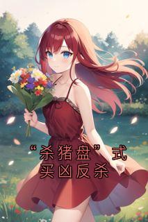 《“杀猪盘”式买凶反杀》孙伟赵峰精彩章节在线阅读