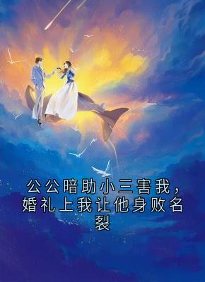 《苏晚陆泽宇赵玉芬》公公暗助小三害我，婚礼上我让他身败名裂精彩内容在线阅读