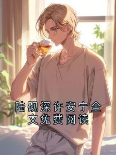 陆砚深许安宁全文免费阅读精彩章节 陆砚深许安宁第6章全章节阅读
