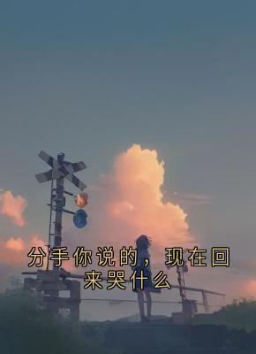 《分手你说的，现在回来哭什么》全集免费在线阅读（温棠林淮）