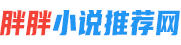 胖胖小说推荐网