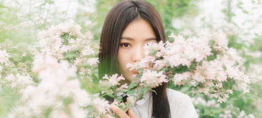白头小说