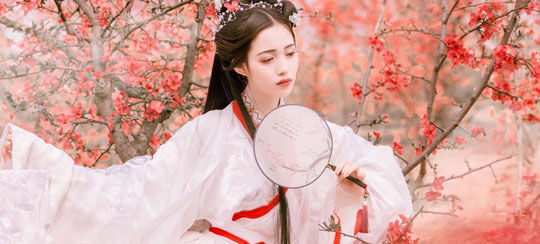 国民女神小说