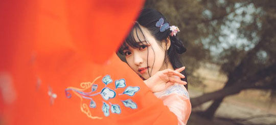 少爷小说